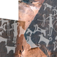 Panel with highlight color added. (Image: Guagnin et al., 2017)